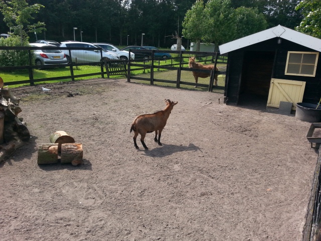 ../fotos/het_verlaat_2016/2016-06-28 15.58.40.jpg